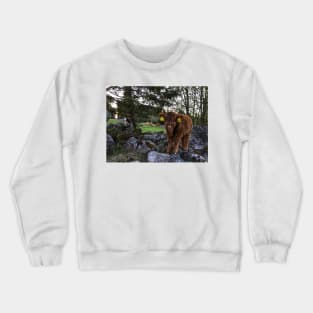 Scottish Highland Cattle Calf 1757 Crewneck Sweatshirt